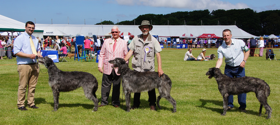 Best of Breed Blackpool 2013